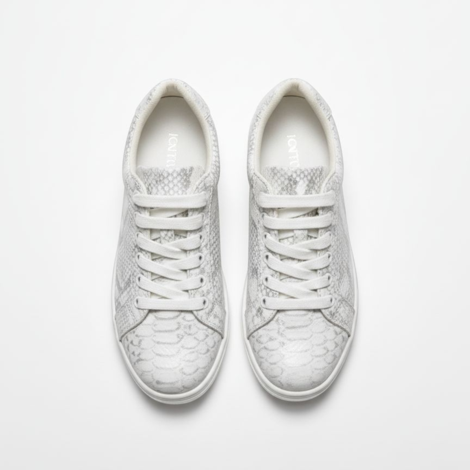 Snake Leather Court Sneaker